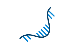 IVT-RNA  analysis teaser image